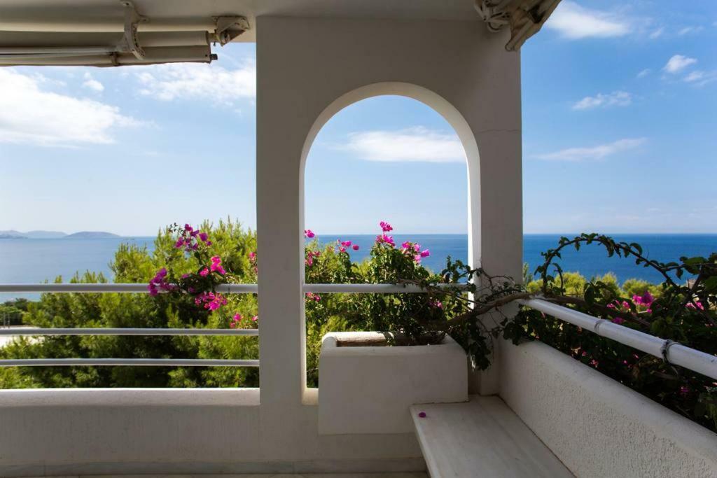 Beautiful, Private Villa By The Sea Agia Marina  Exteriér fotografie