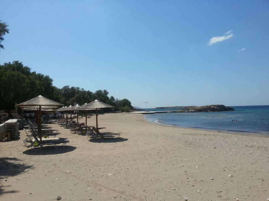 Beautiful, Private Villa By The Sea Agia Marina  Exteriér fotografie