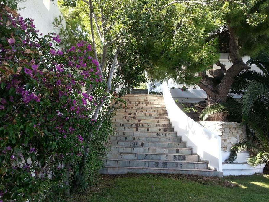 Beautiful, Private Villa By The Sea Agia Marina  Exteriér fotografie